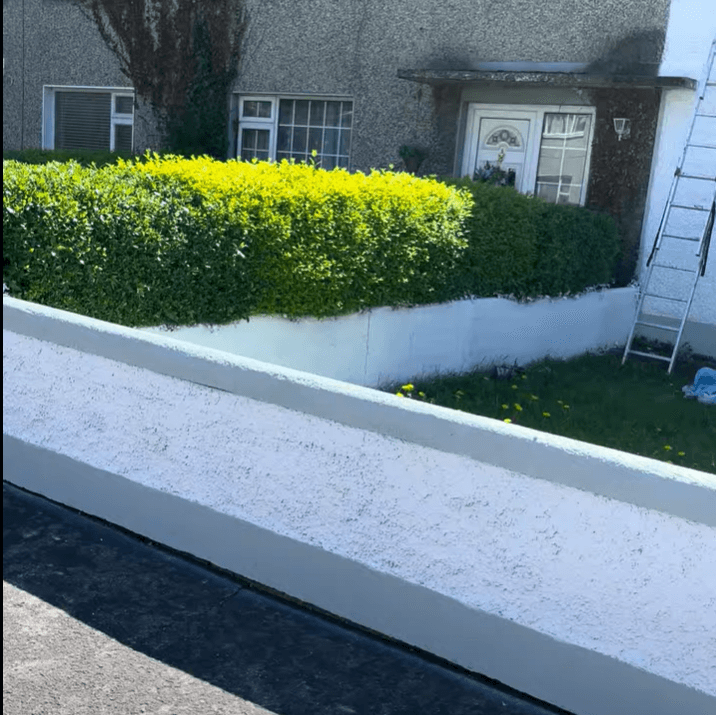 Garden Walls & Fences